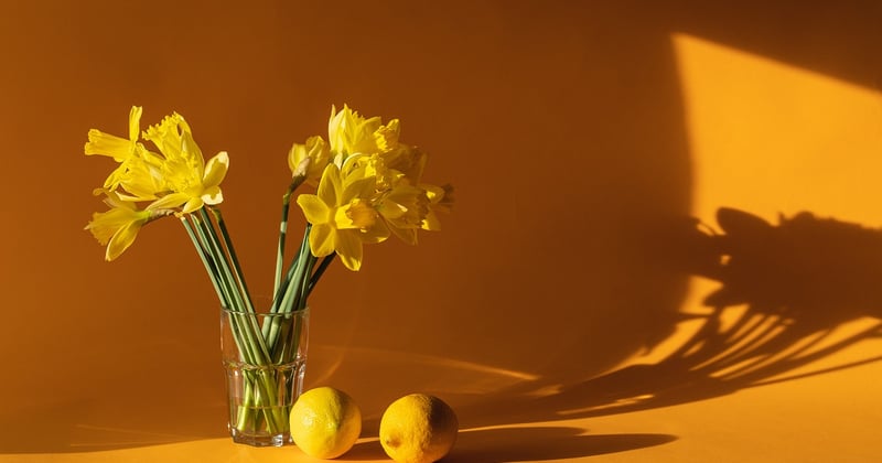 Éclairage optimal pour votre déco loft : nos astuces lumineuses